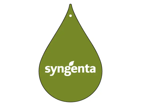 Exemple de diffuseur de voiture personnalisé numéro :1501