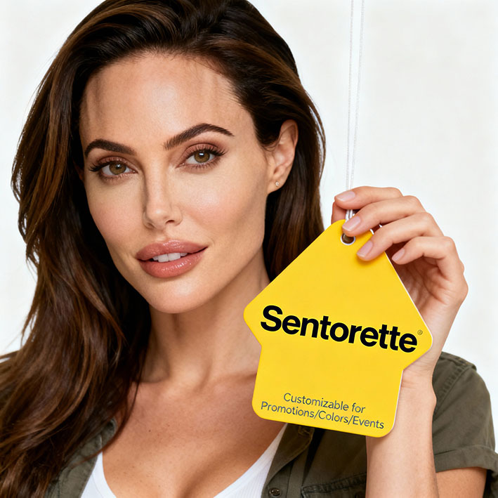 Sentorette automotive-industry﻿﻿